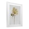 Stupell Industries Simple Beauty Soft Flower Framed Print Under Glass, design by Lori Deiter